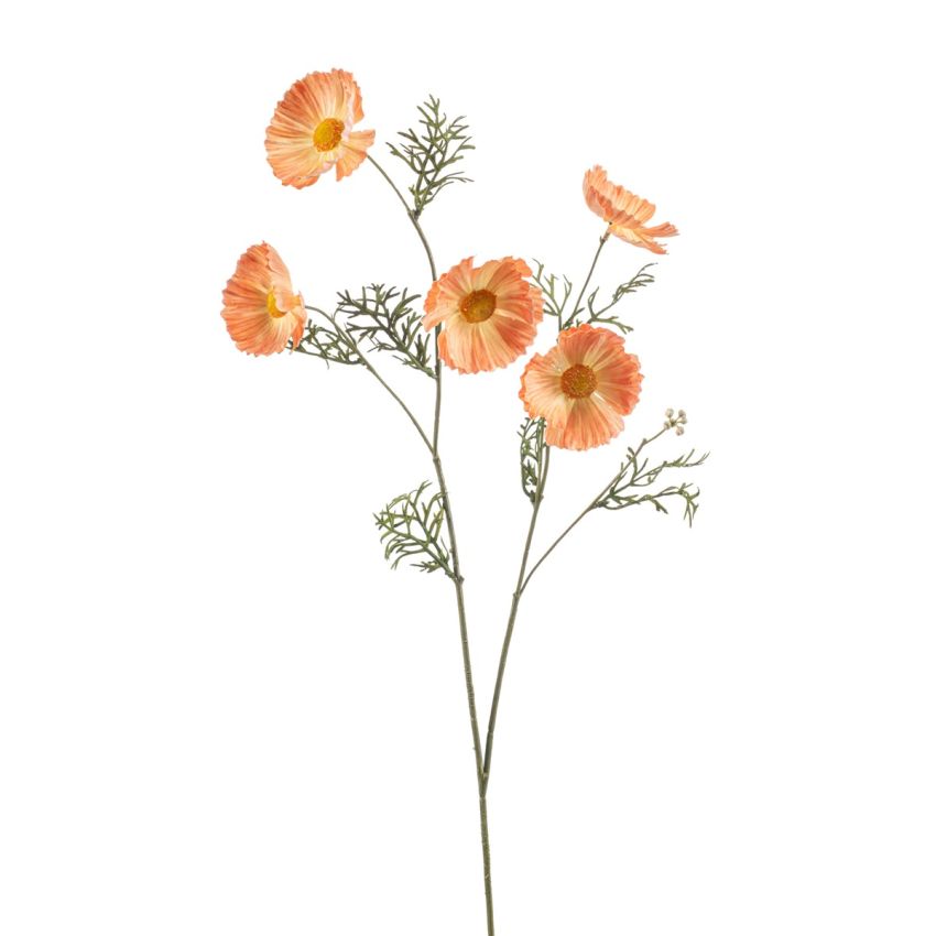 Cosmos spray yellow/orange 70cm