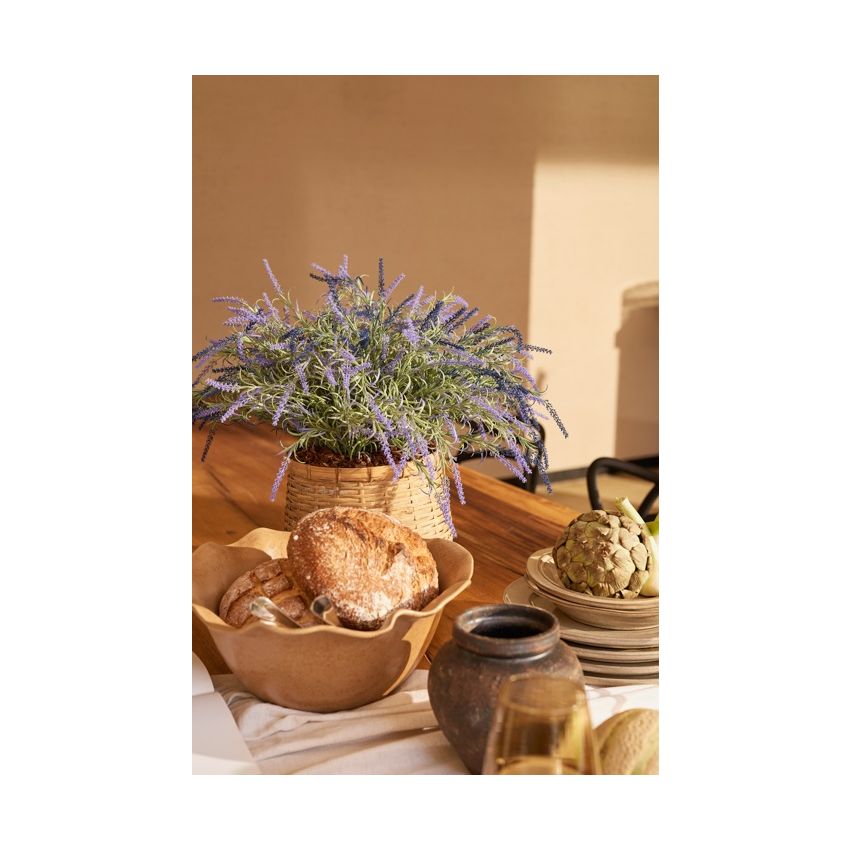 Lavender bush UV blue 40cm