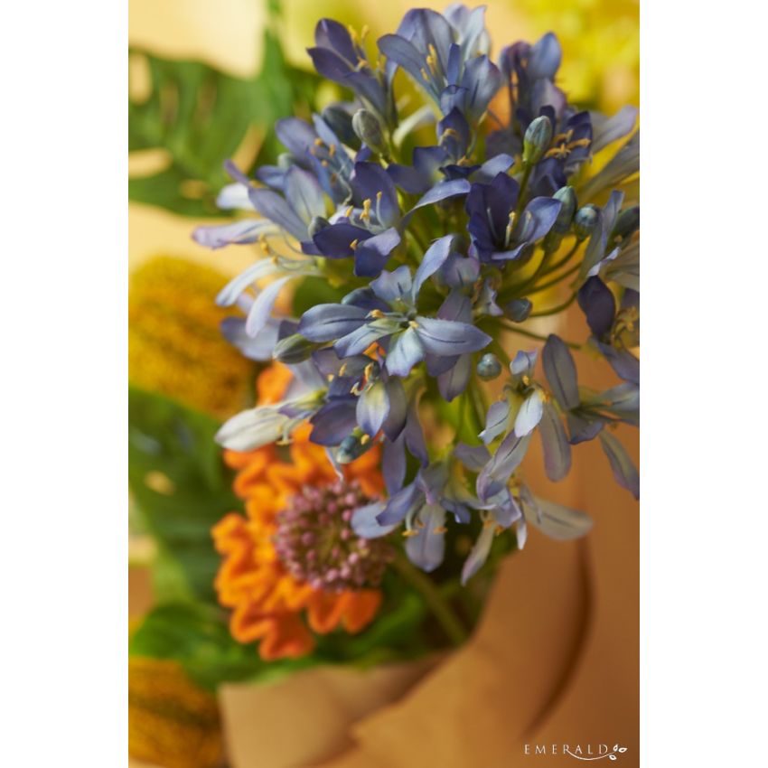 Agapanthus spray blue 88cm