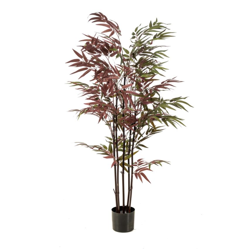 Bamboo green/burgundy 130cm