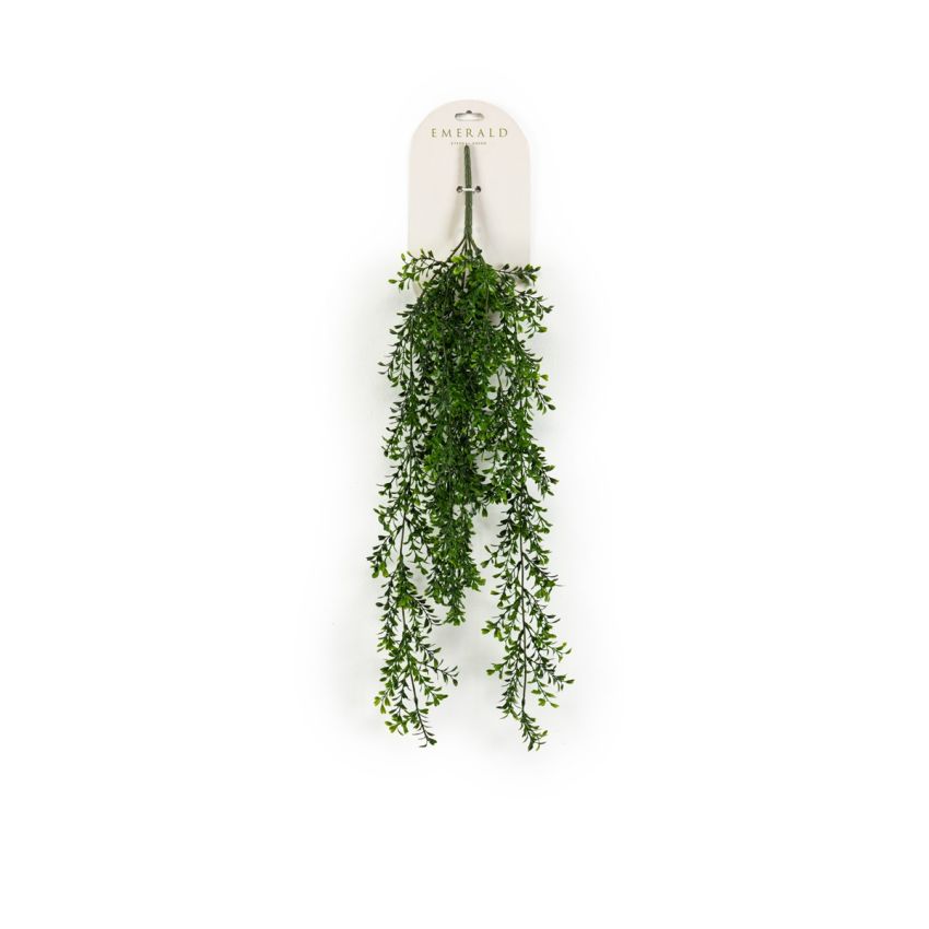 Boxwood hanging bush 75cm