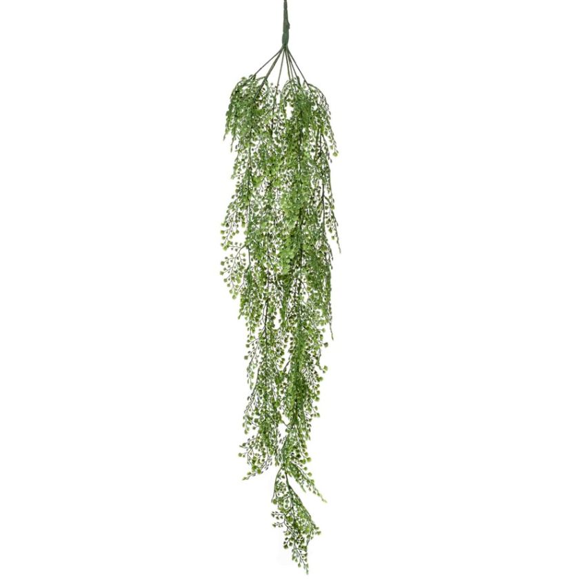 Adianthum hanging bush 105cm