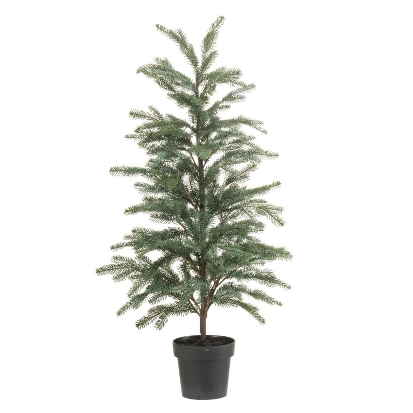 Picea tree in pot 120cm