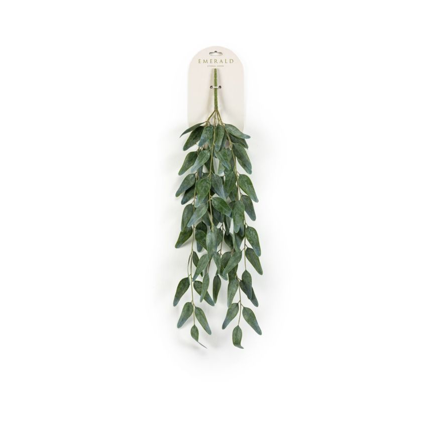Eucalyptus hanging bush green/grey 75cm
