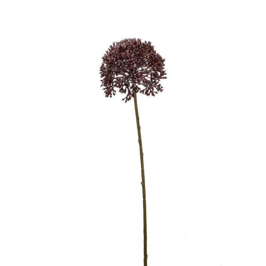 Allium spray burgundy 63cm