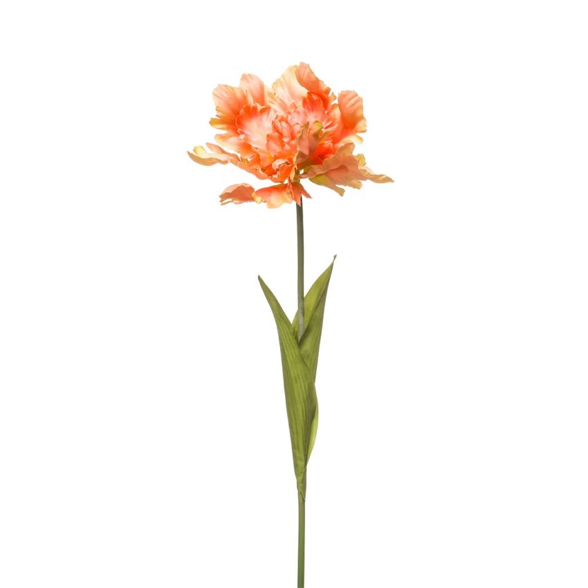 Tulip parrot spray orange 68cm