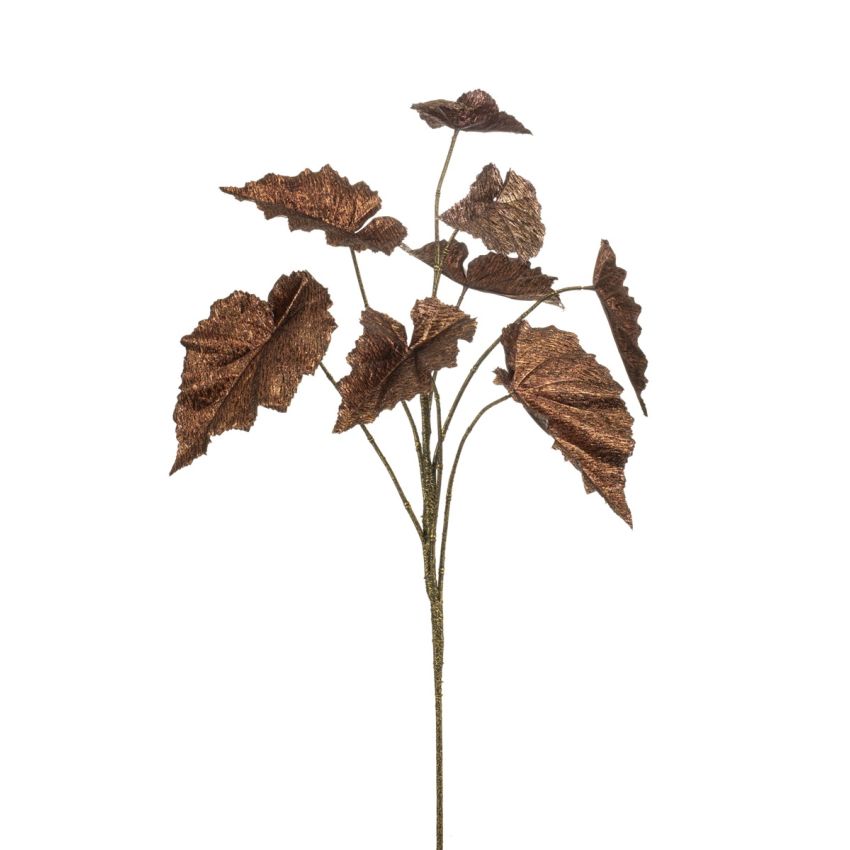 Begonia rex lvs spray bronzeflamed 82cm