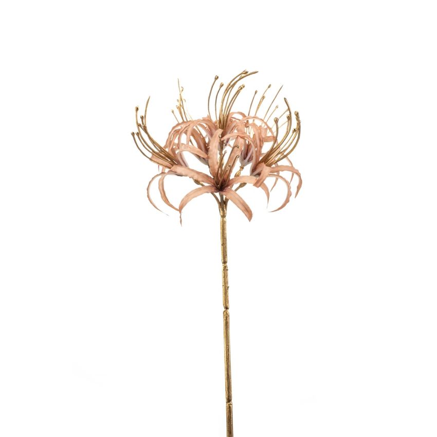 Nerine spray mauve/gold 60cm