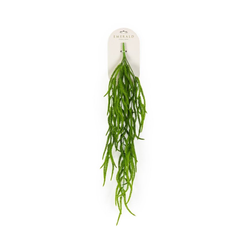 Amaranthus hanging bush green 80cm