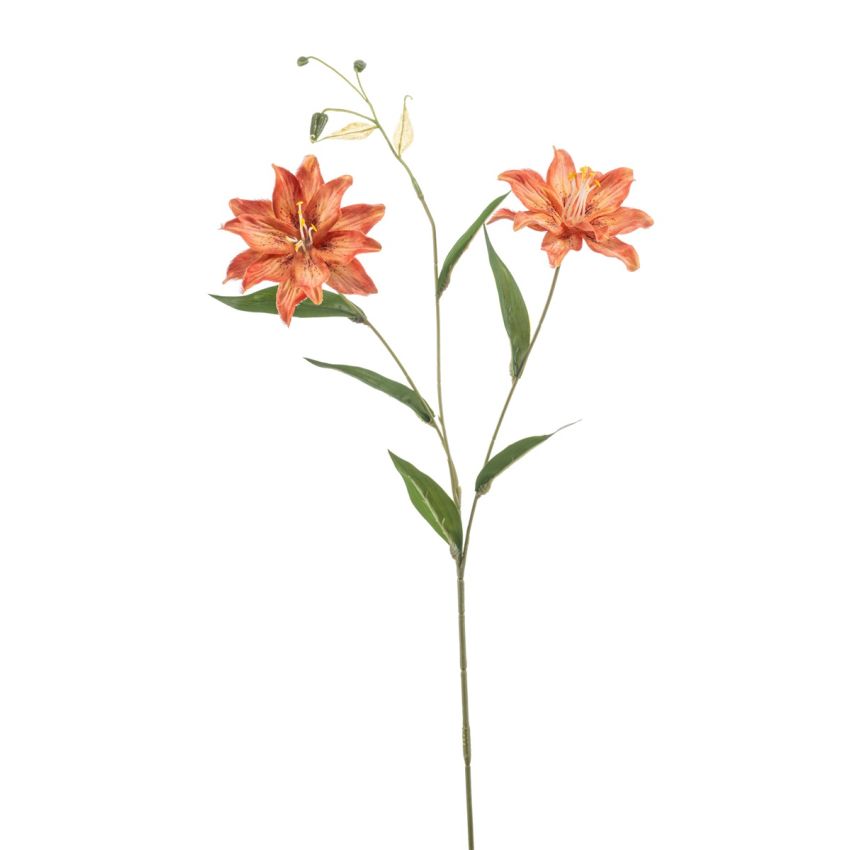 Lily wild spray orange 70cm