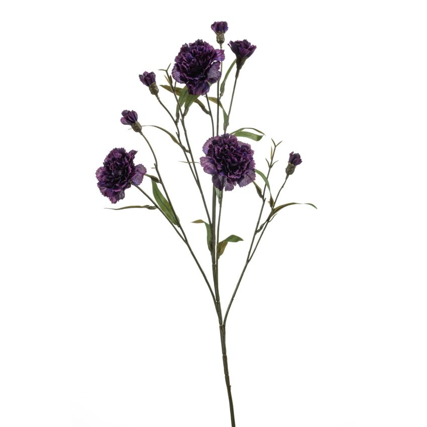 Dianthus spray purple 70cm