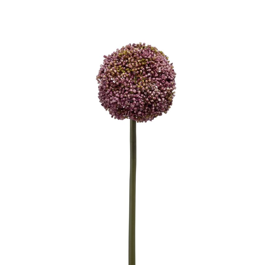 Allium spray purple 73cm