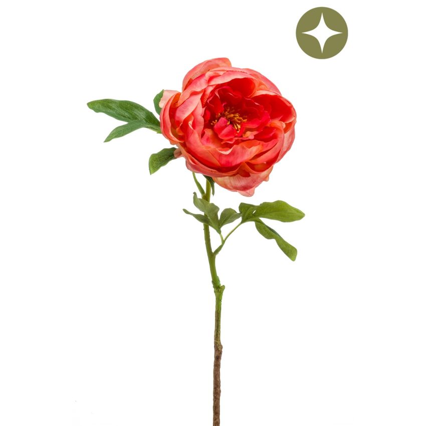 Peony spray coral 63cm