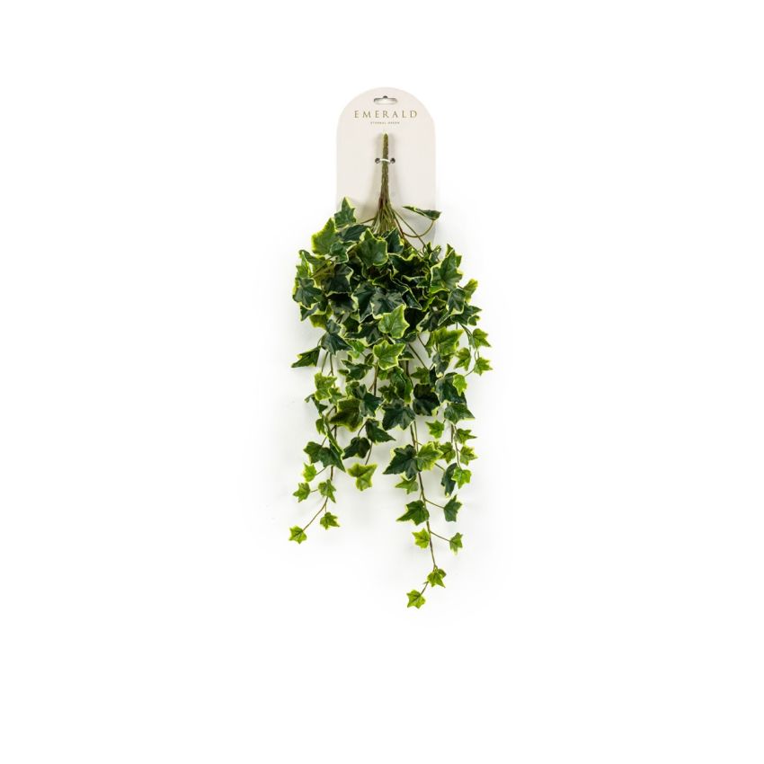 Ivy hanging bush green/white 70cm