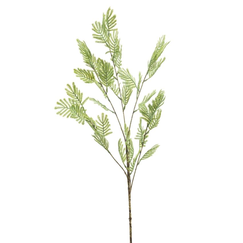Mimosa spray green 90cm