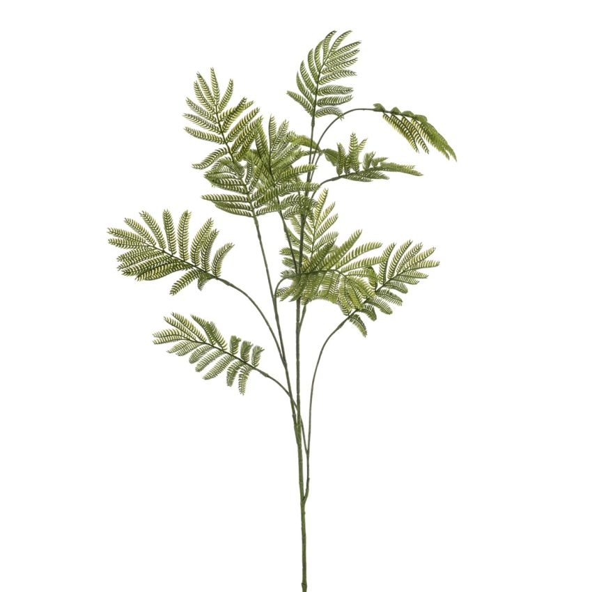 Mimosa lvs spray green 130cm