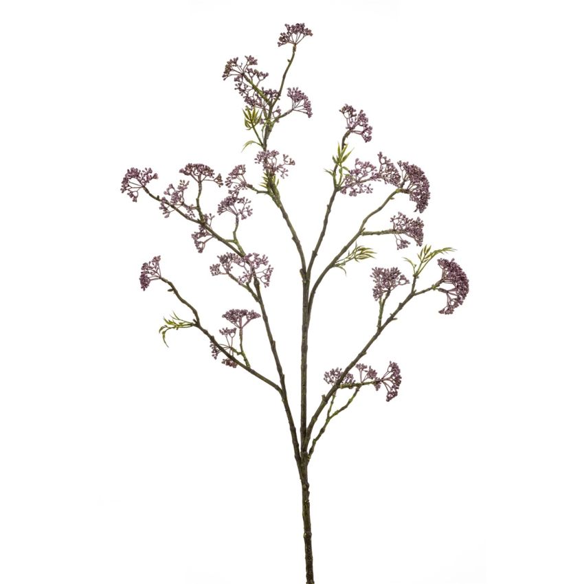 Sedum spray purple 105cm