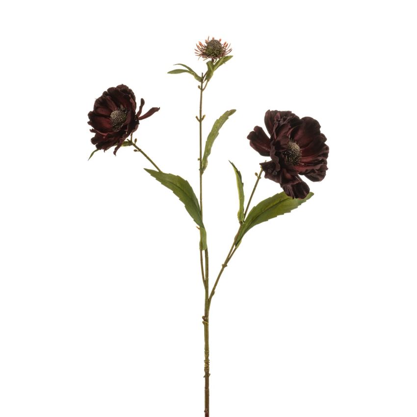 Aster spray burgundy 76cm