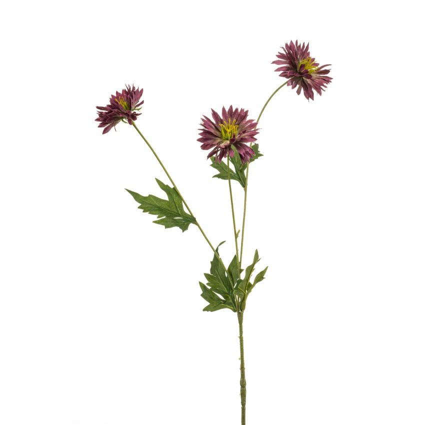 Centaurea spray purple 75cm