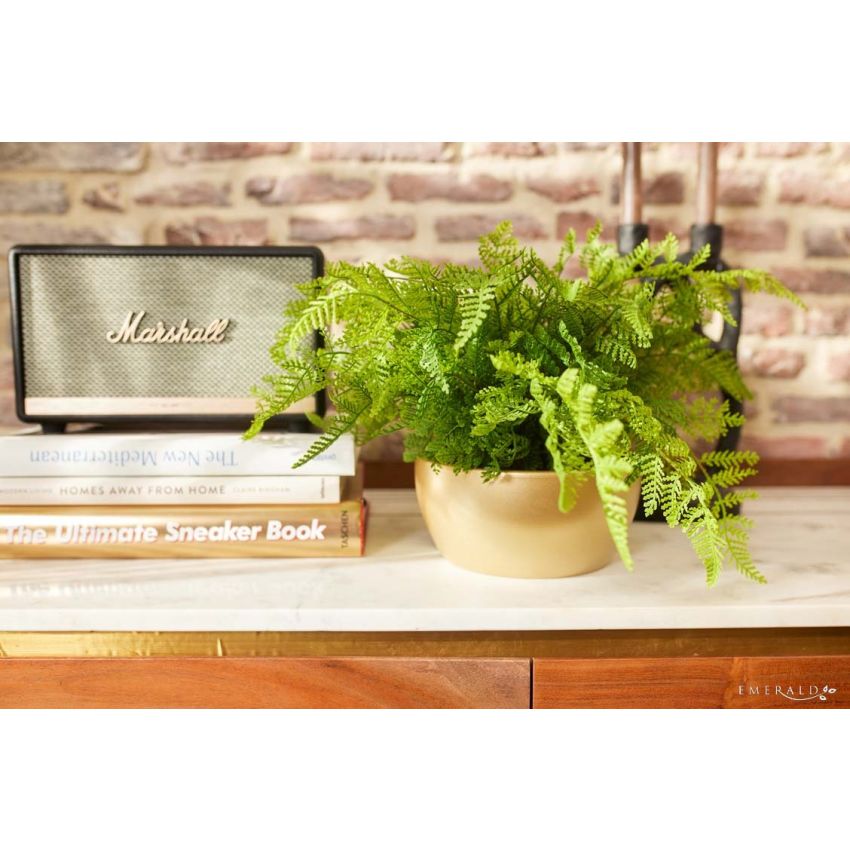 Fern forest bush green 35cm in pearlgold bowl