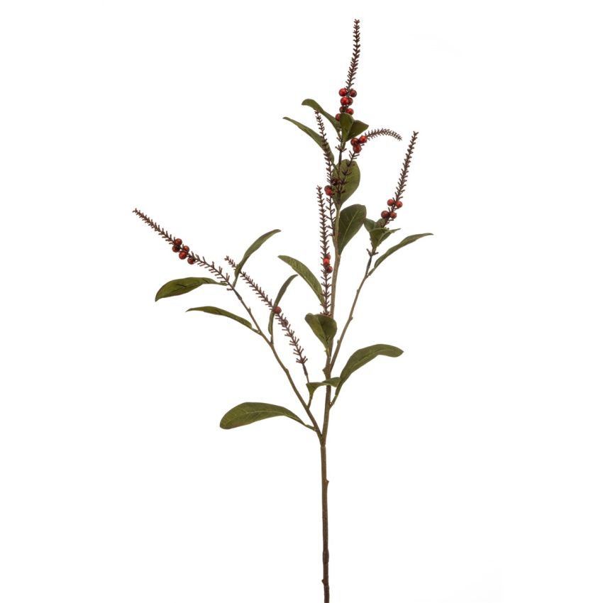 Linospadix spray red 90cm