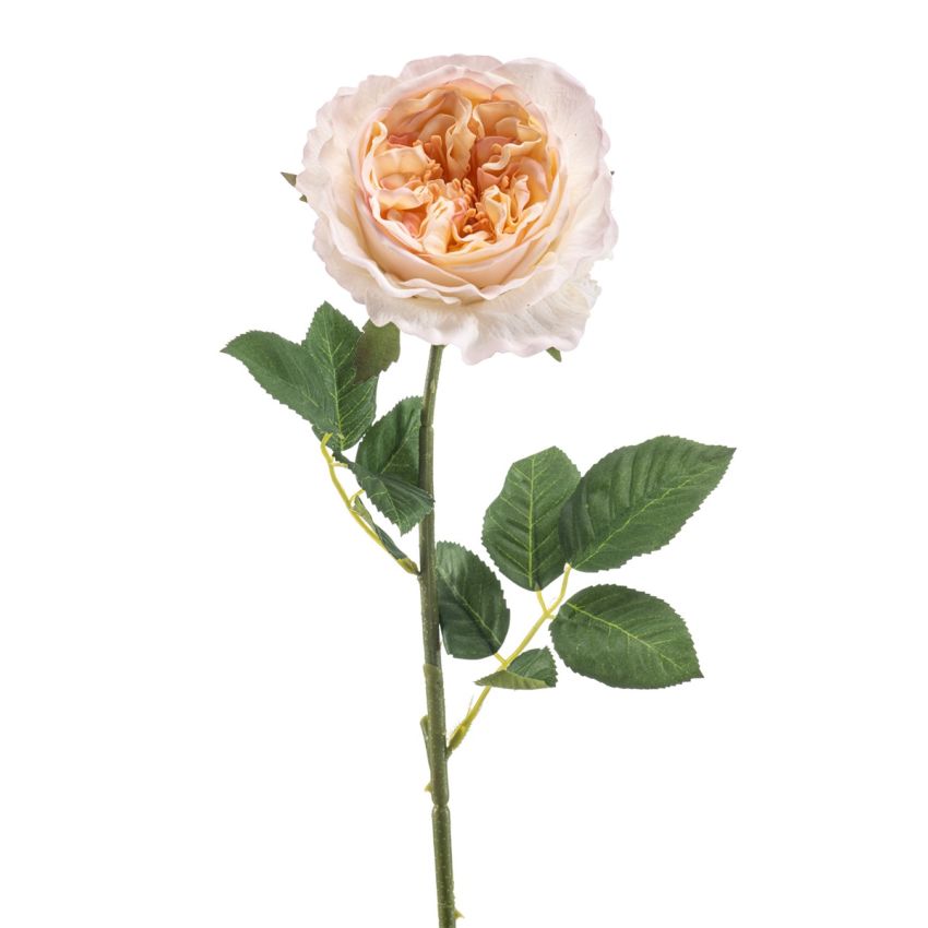 Rose manon spray RT peach 62cm