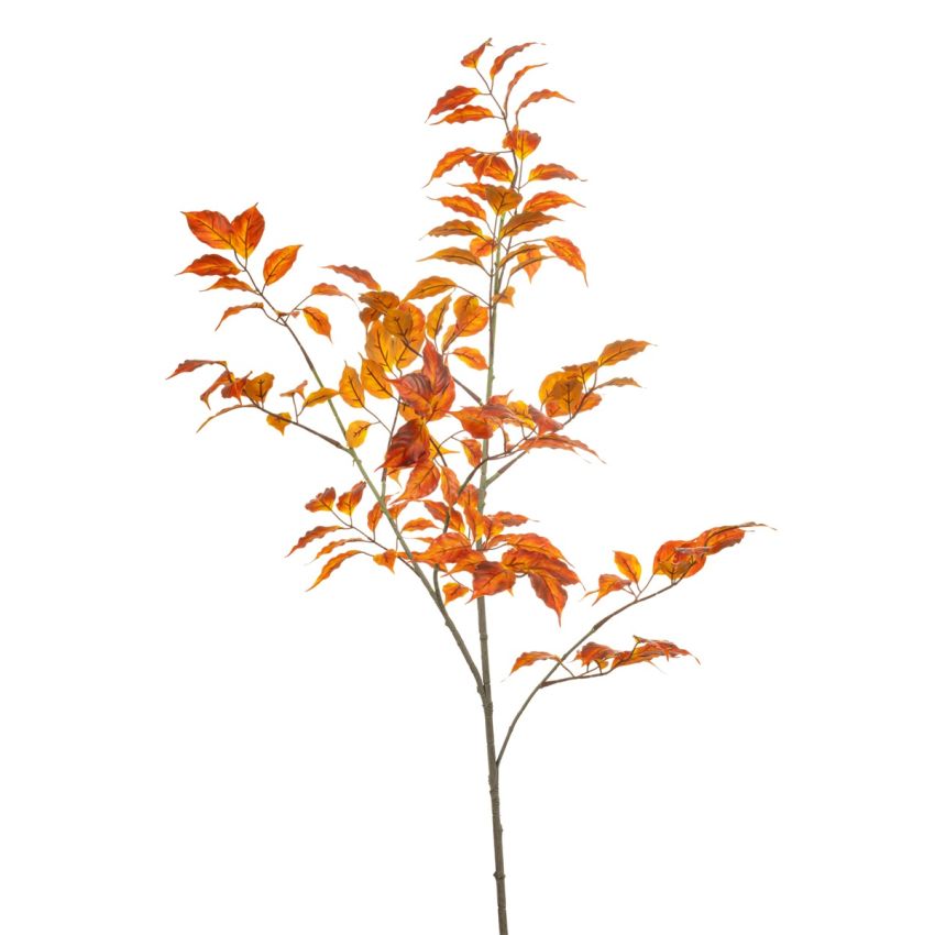 Sambucus spray orange 105cm