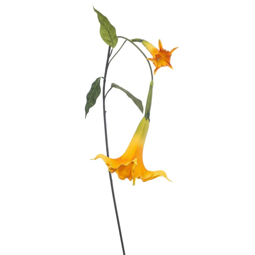 Datura hanging spray yellow 130cm