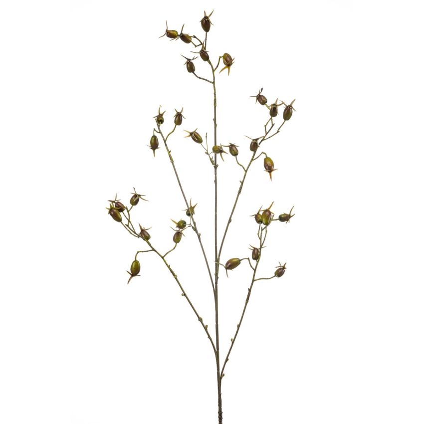 Rosehip spray green 90cm