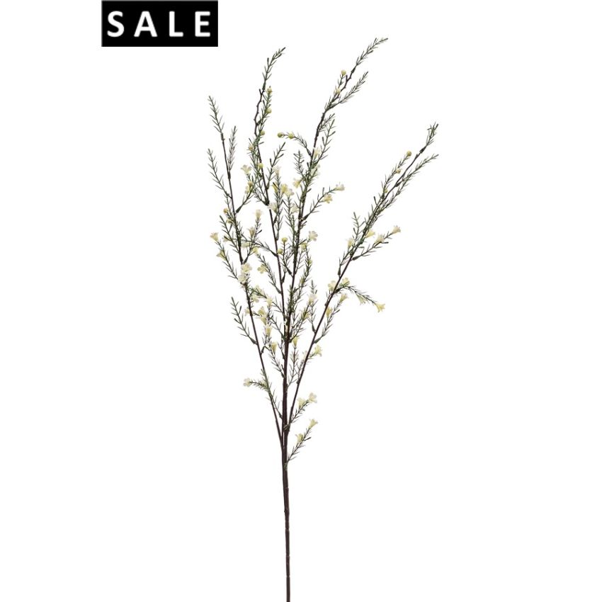 Rosemary spray x5 cream 115cm