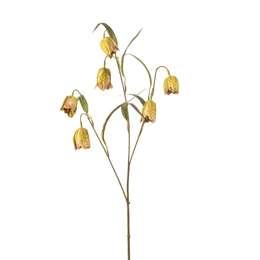 Frittilaria spray x3 green 58cm