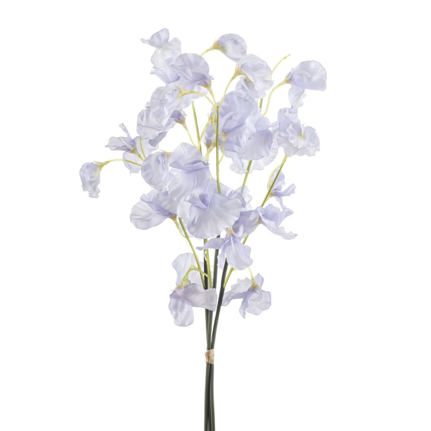 Lathyrus bundle x3 lt purple 48cm