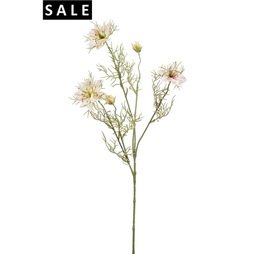 Nigella spray cream/pink 73 cm