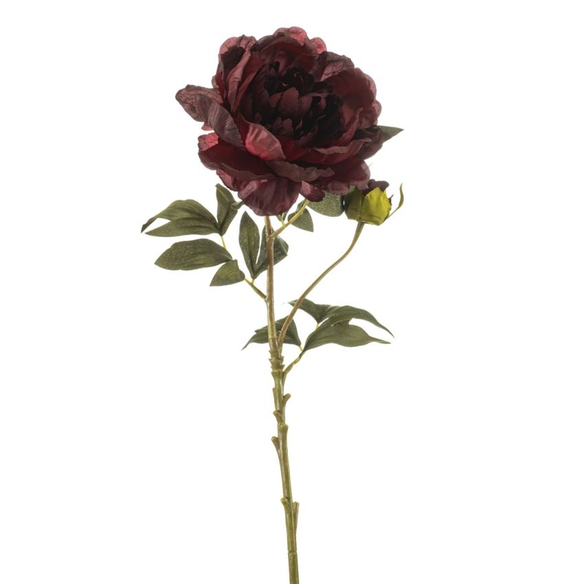 Peony spray burgundy 75cm