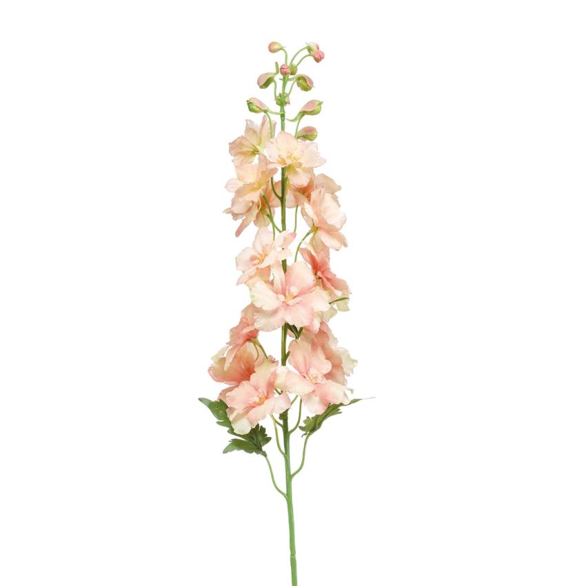 Delphinium spray peach 95cm