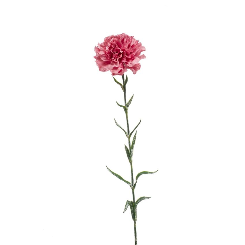 Dianthus spray old pink 67cm