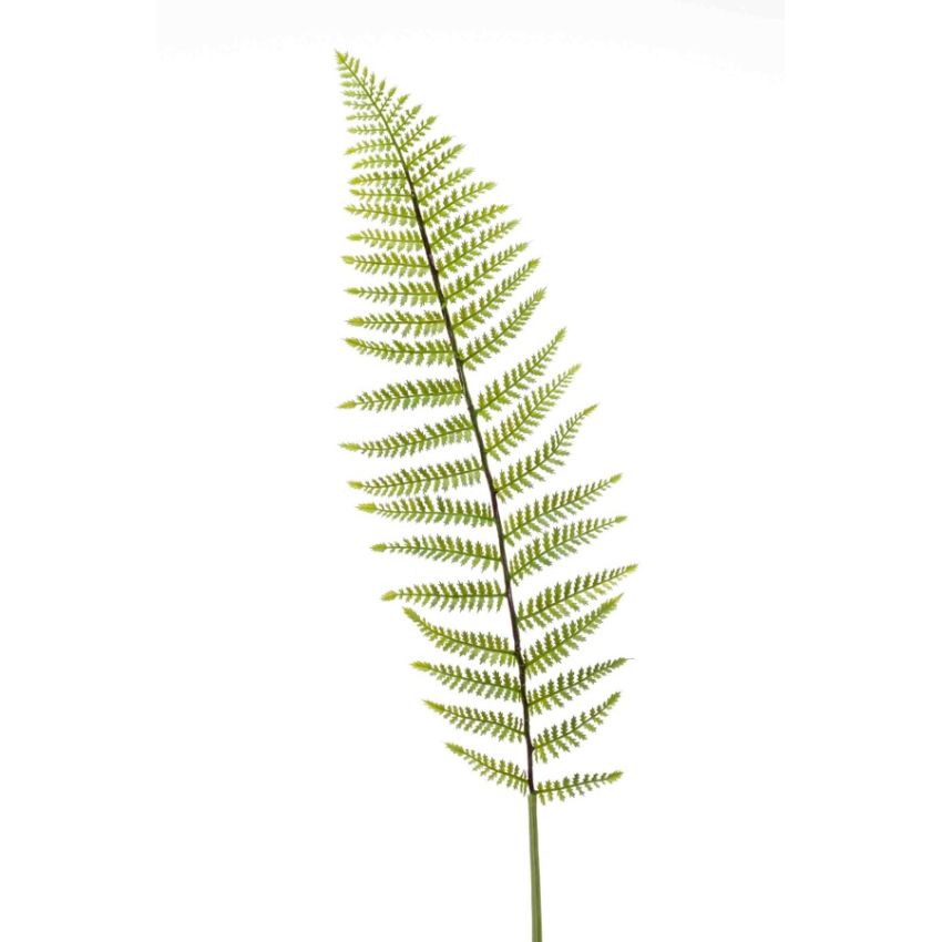 Fern leather spray lt green 100cm