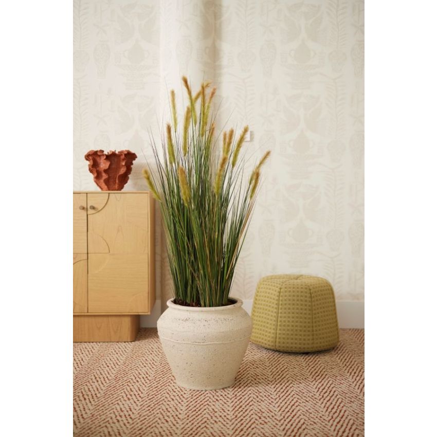 Grass foxtail 120cm