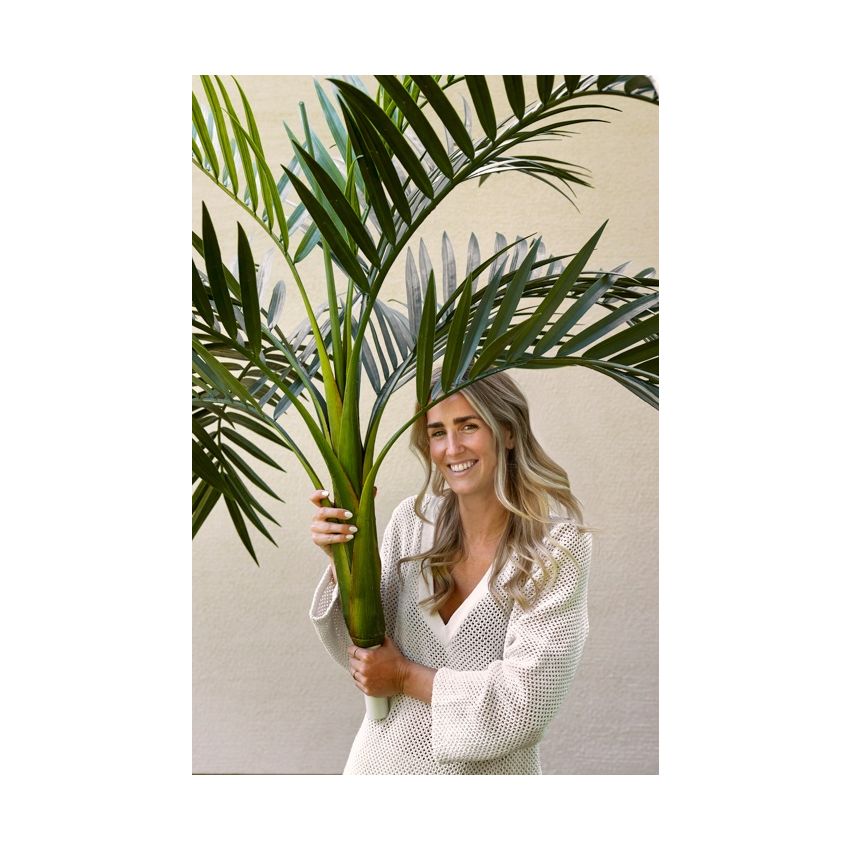 Palm UV 245cm (knock down packing)