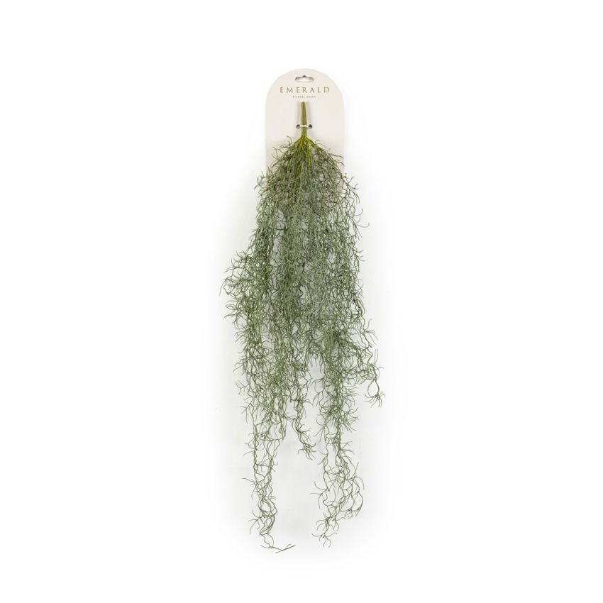 Tillandsia hanging bush grey 80cm
