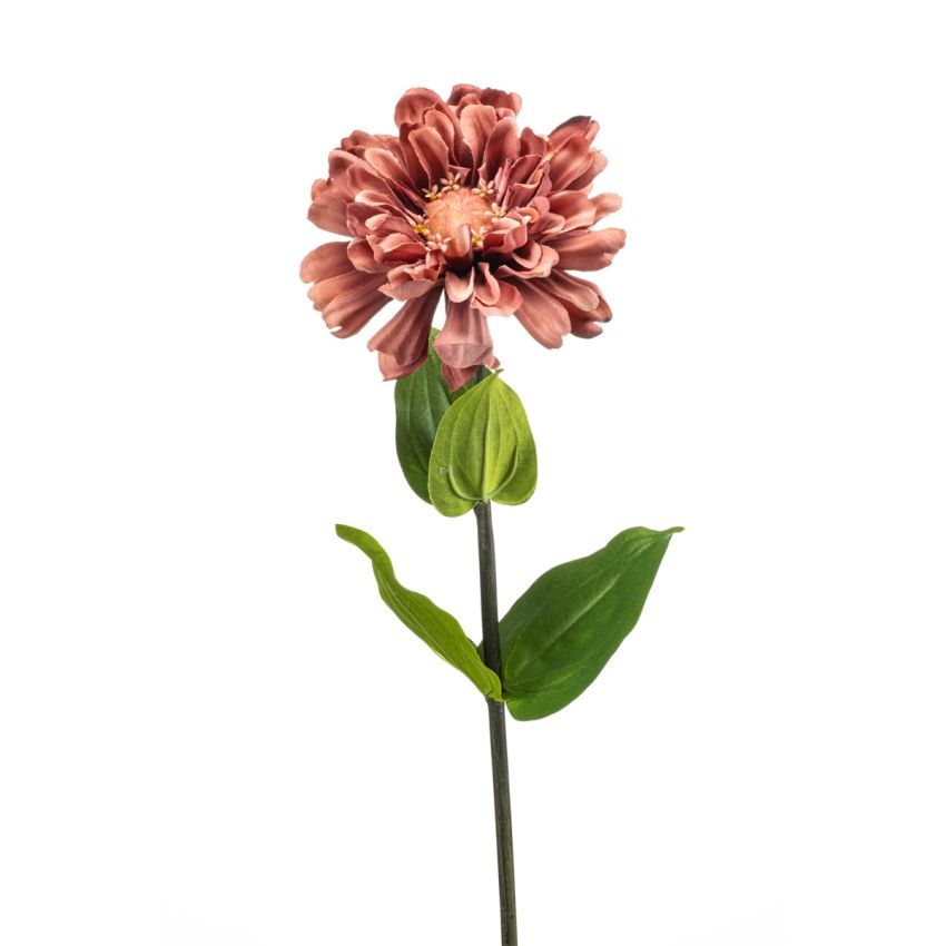 Zinnia spray mauve 55cm
