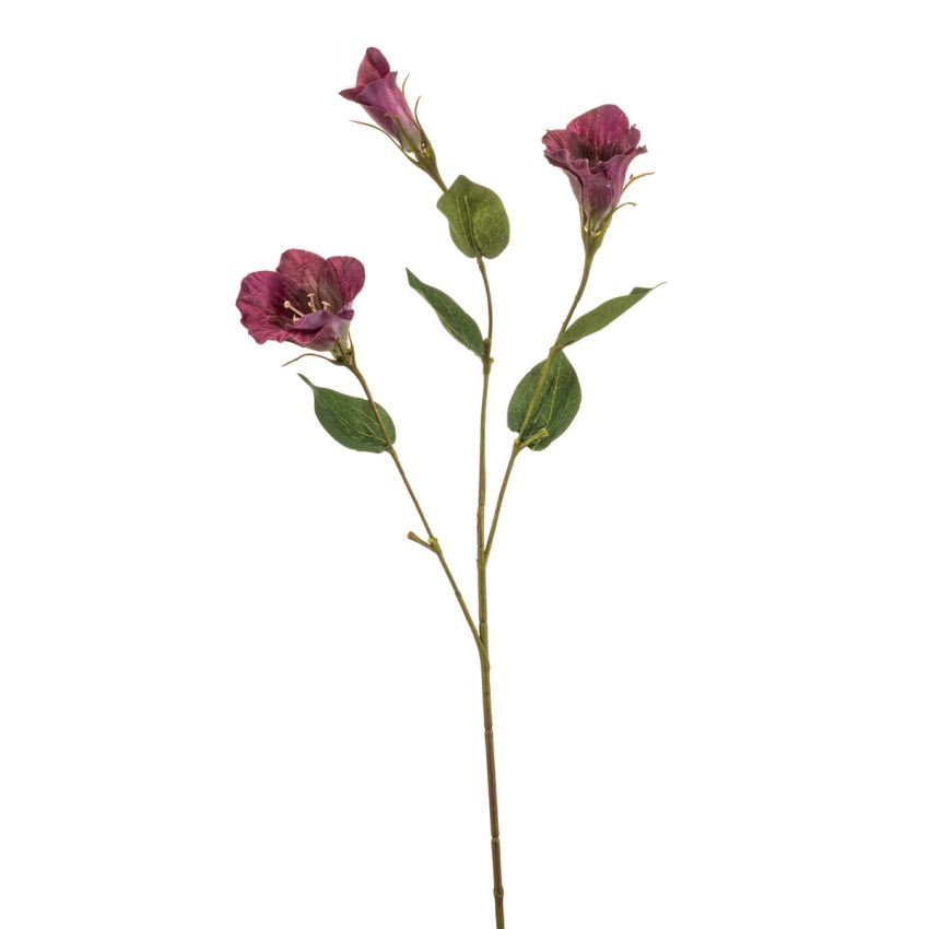 Eustoma spray purple 70cm