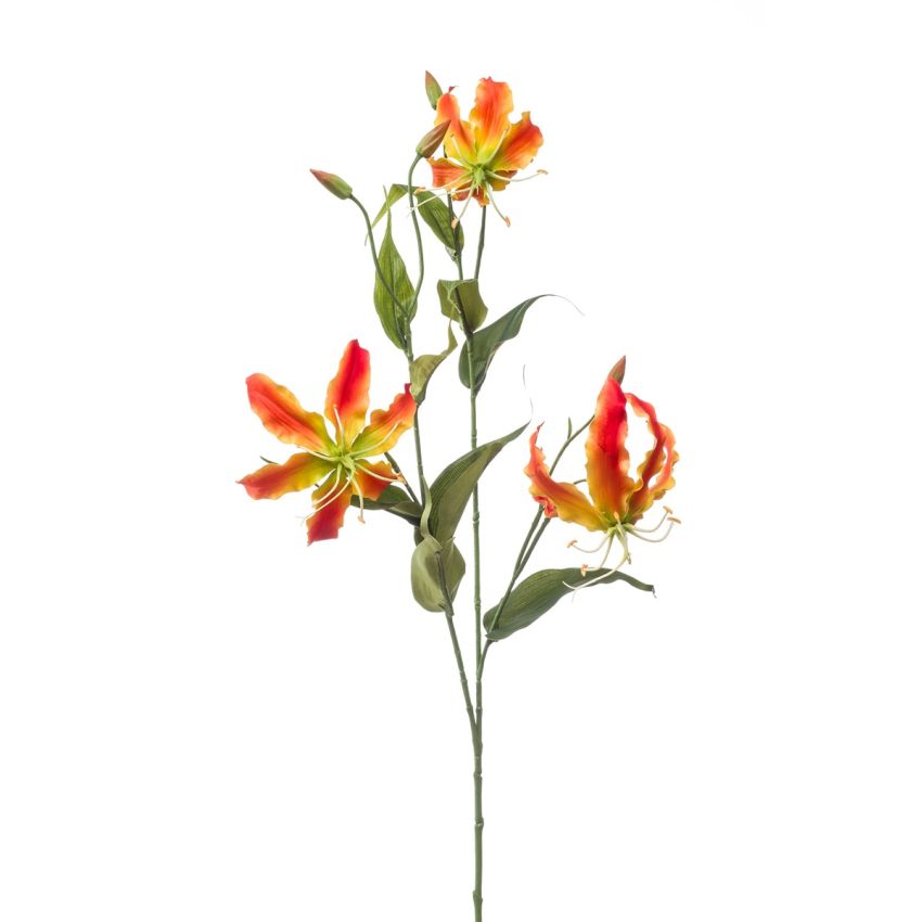 Gloriosa spray orange 90cm