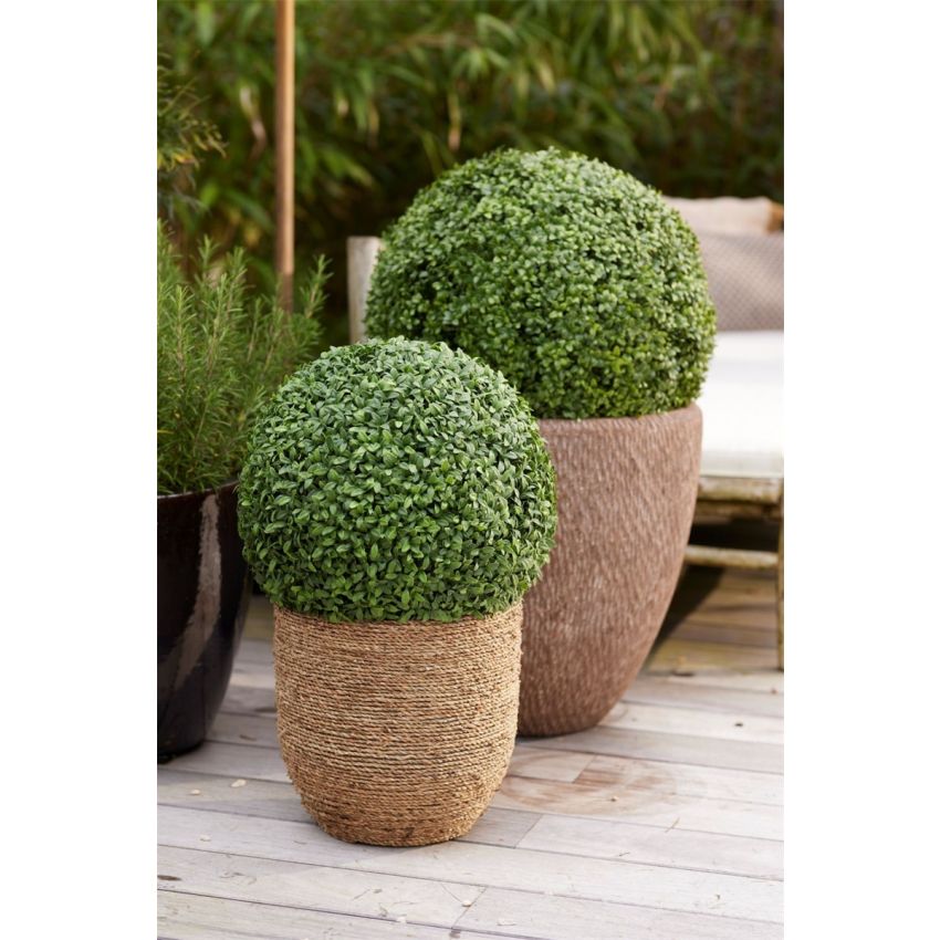 Boxwood ball UV green d40cm