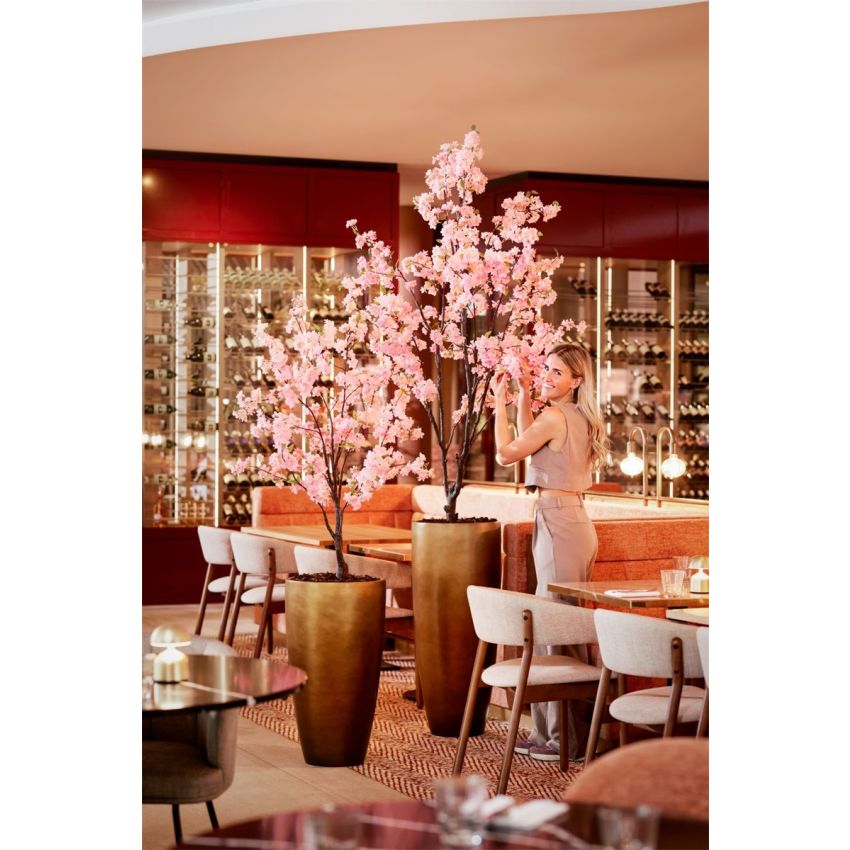 Blossom cherry tree pink 135cm