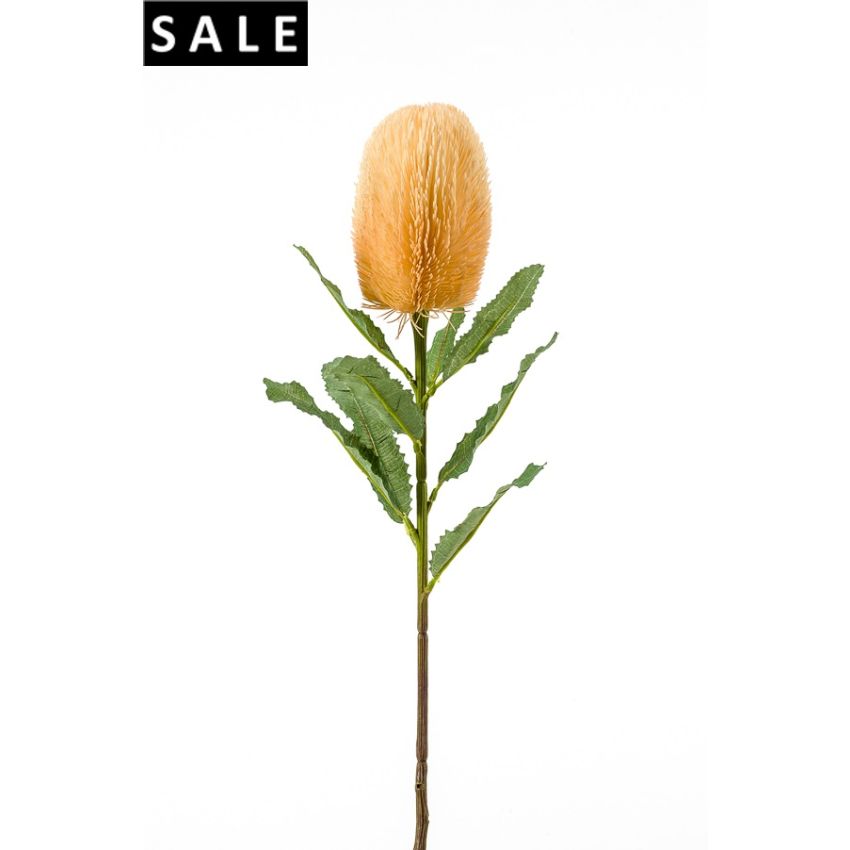 Banksia spray lt orange 65cm