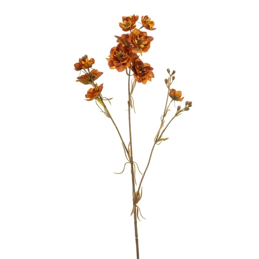 Delphinium spray orange 85cm