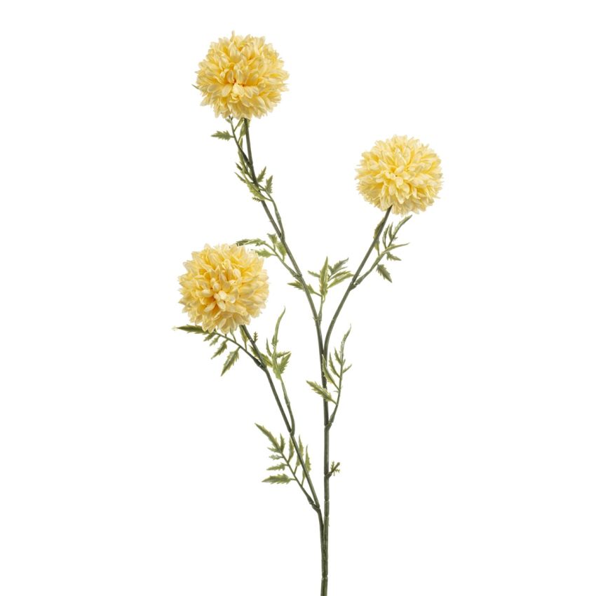 Tagetes spray yellow 80cm