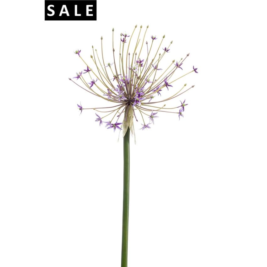 Allium spray lilac 105cm