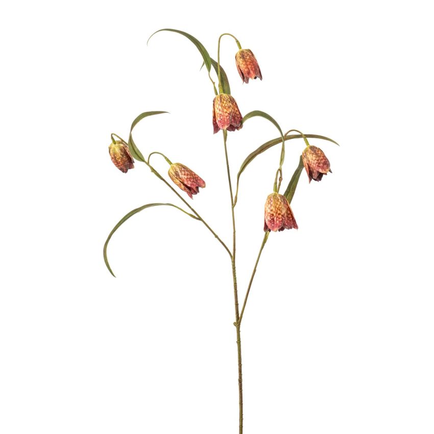 Frittilaria spray x3 green/pink 58cm